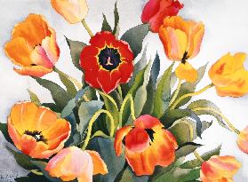 Orange and Red Tulips (w/c) 