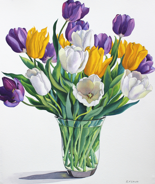 Tulips in Glass Vase von Christopher  Ryland