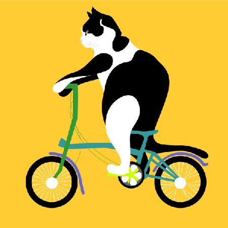 Cat on a Brompton Bike 2017