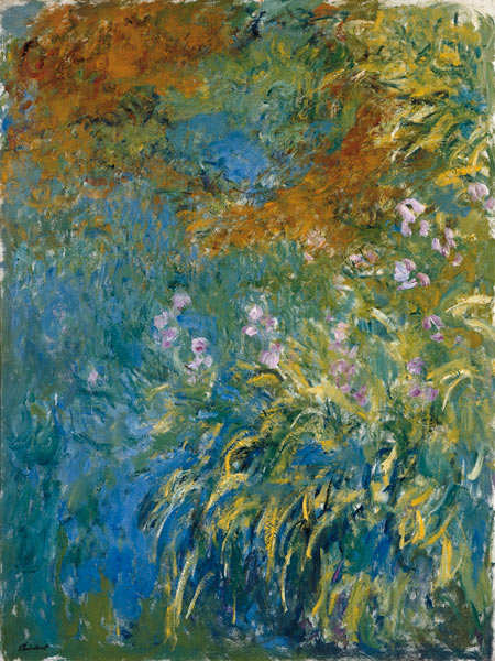 Gelbe Iris. von Claude Monet