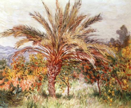 Palm Tree at Bordighera von Claude Monet