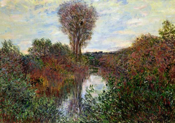 Small Branch of the Seine von Claude Monet