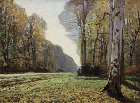 Pave de Chailly, Forest de Fontainebleau