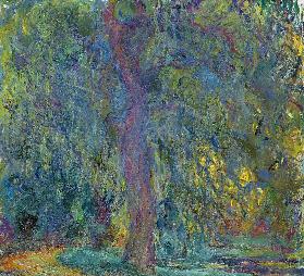 Weeping Willow 1918-19
