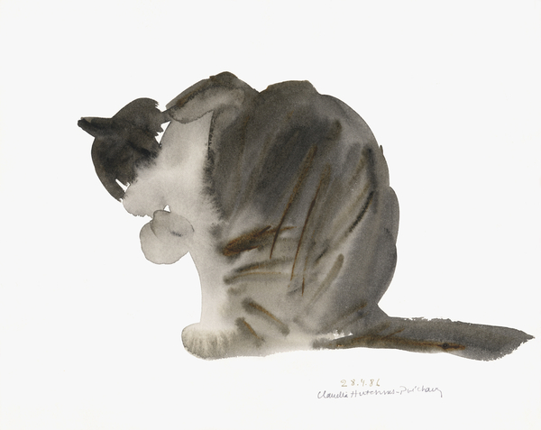 Cat von Claudia Hutchins-Puechavy