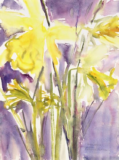 Daffodils 1988