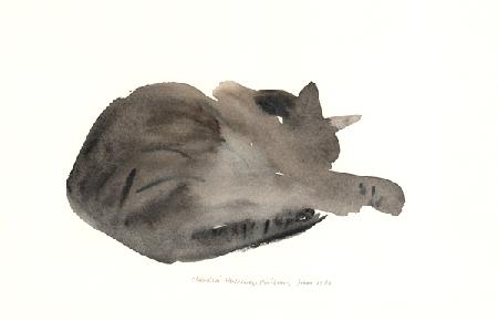Sleeping cat 1985