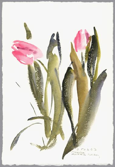 Tulips 2003