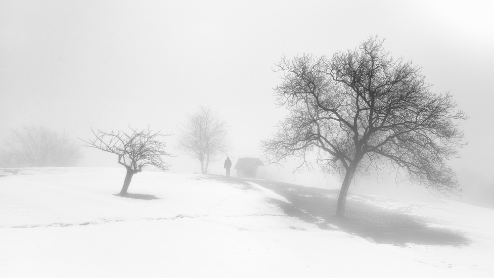 Ein melancholischer Nebeltag. von Claudio Moretti