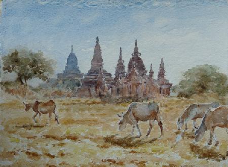 900 From Laymyethna, Bagan 2013