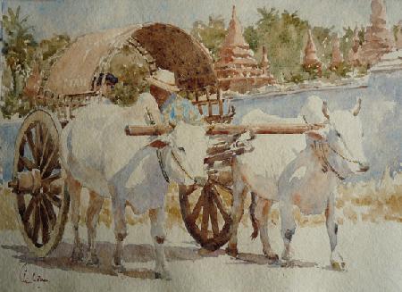 934 Bullock cart taxi round the temples 2013