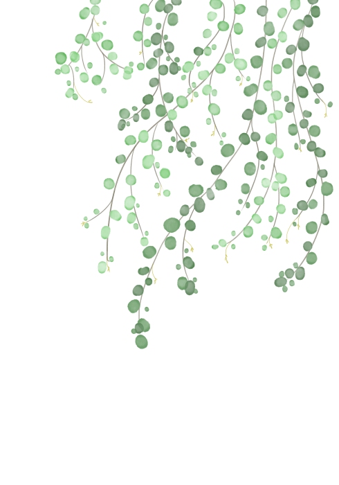 Birch Tree von Graphic Collection