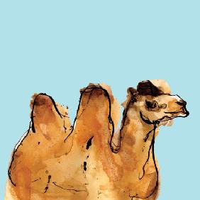 Horizontal Camel 2005