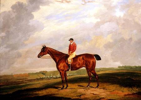 Racehorse with Jockey Up von D. the Younger Wolstenholme