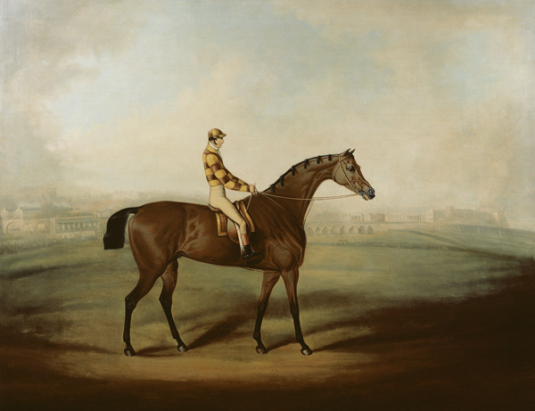 Portrait of Bruitandorf with jockey up and Chester Racecourse Beyond von Daniel Clowes