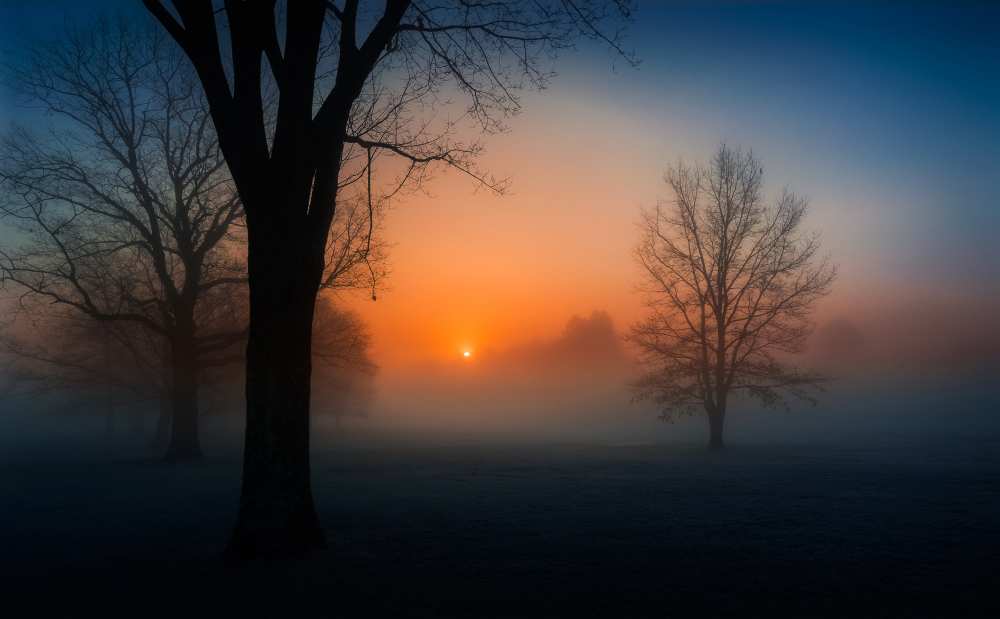 Foggy sunrise von David Dai
