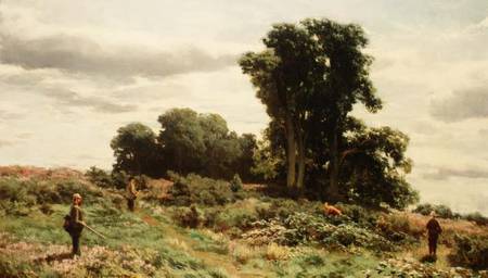 The Forest of Meiklour, Perthshire von David Farquharson