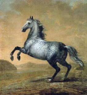 The Little Englishman, King Karl XI (1655-97)'s Horse (oil on canvas) 18th