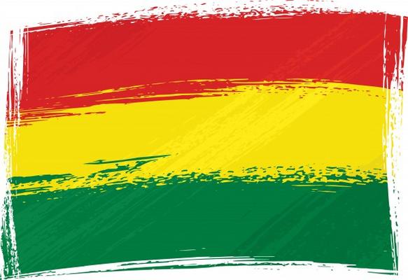 Grunge Bolivia flag von Dawid Krupa