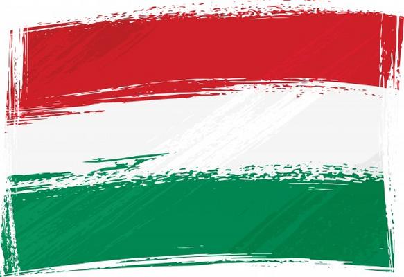 Grunge Hungary flag von Dawid Krupa