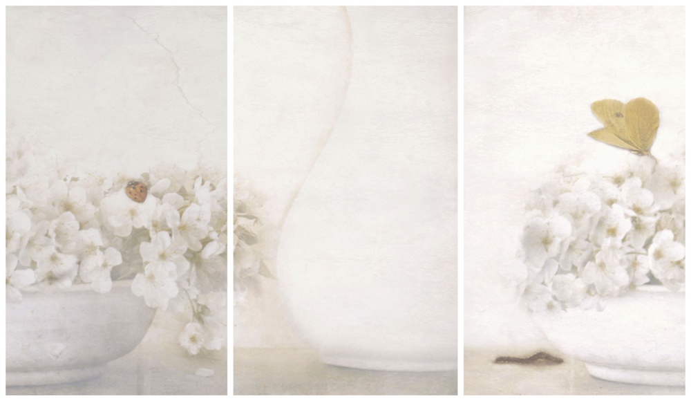 Sommerzeit (Triptychon) von Delphine Devos