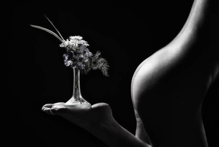 Little Flower Stand von Derek Galon, MA,
