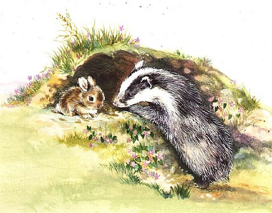 Badger and a Rabbit  von Diane  Matthes