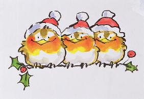 Christmas Robins (ink and w/c on paper) 