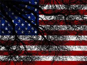 Amerikanische Flagge hinter dem Baum 2013