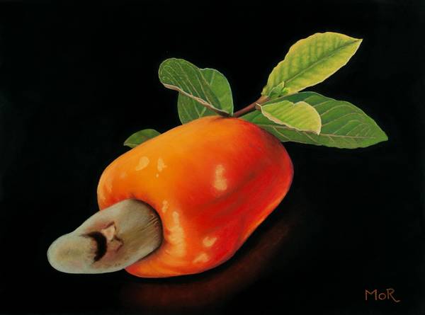 Cashewfrucht von Dietrich Moravec