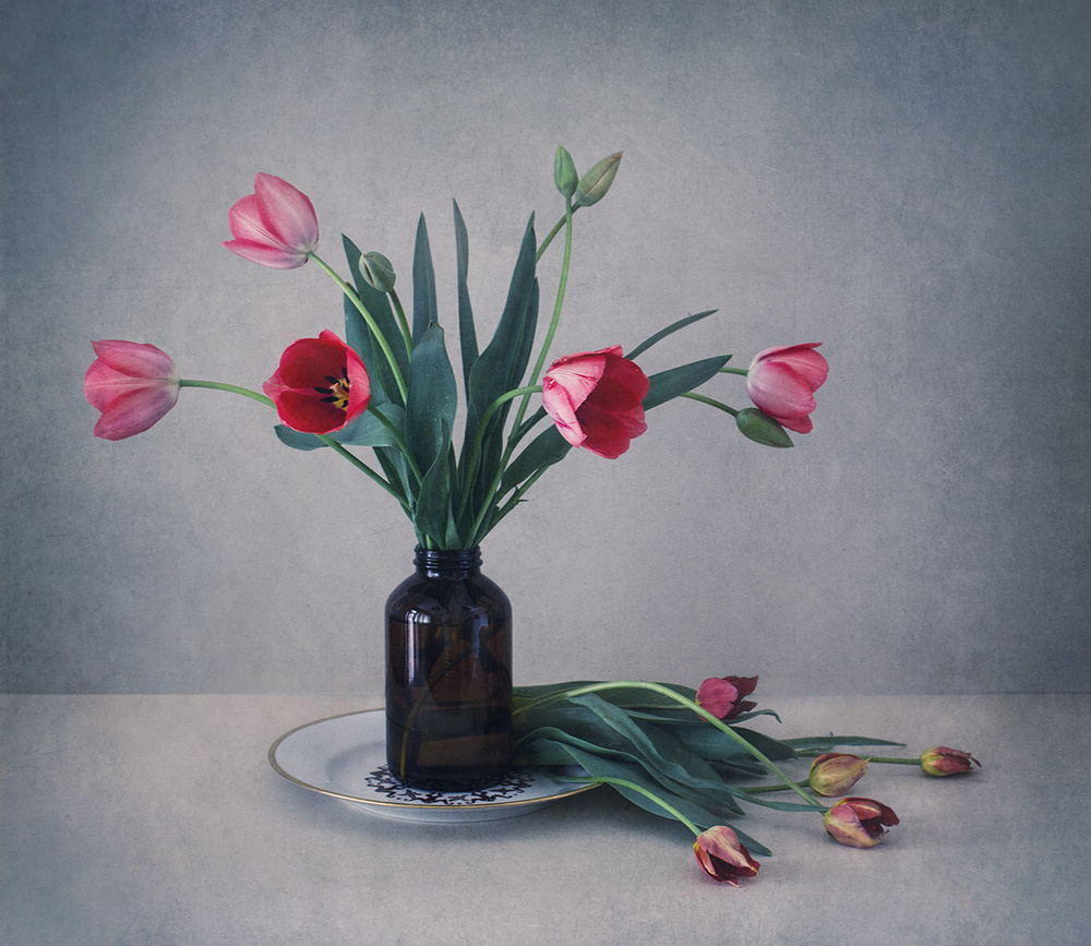 Stillleben mit Tulpen von Dimitar Lazarov - Dim