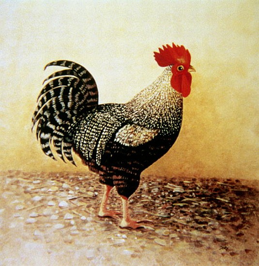 Speckled Rooster (acrylic on canvas)  von Dory  Coffee