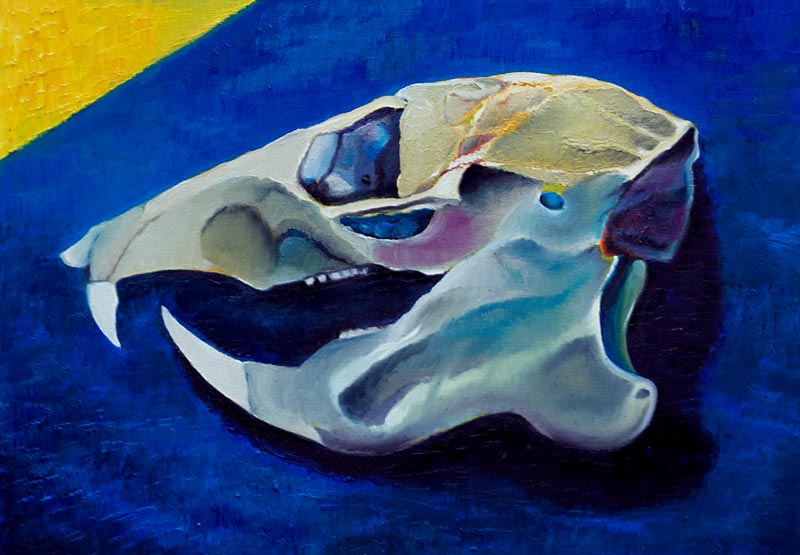 Skull no.5 von Azure