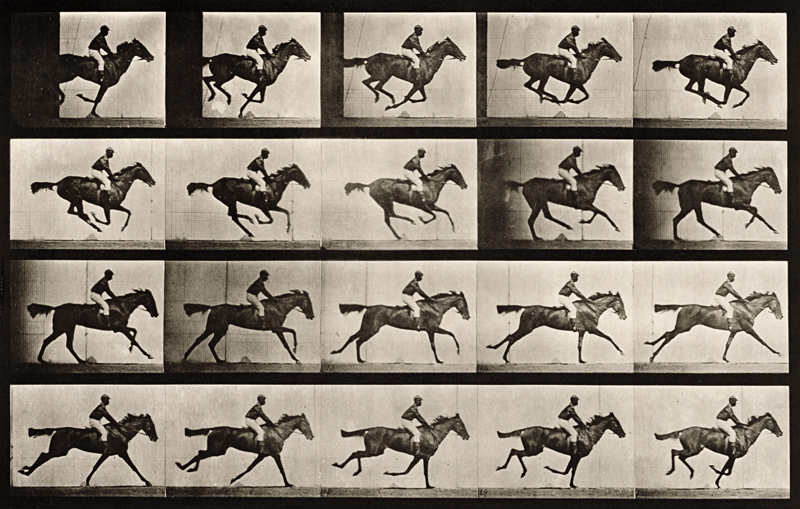 Jockey on a galloping horse, plate 627 from ''Animal Locomotion'', 1887 (b/w photo) von Eadweard Muybridge