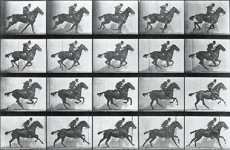 Galloping Horse, plate 628 from ''Animal Locomotion'', 1887 (b/w photo) 