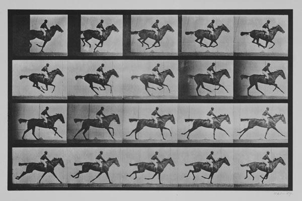 Jockey on a galloping horse, plate 627 from "Animal Locomotion" 1887