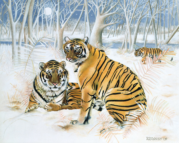 Tigers in the Snow von E.B.  Watts