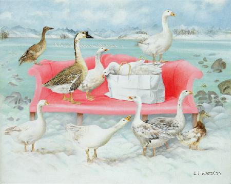 Geese on Pink Sofa 2000