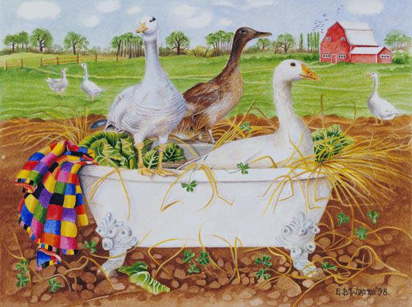 Geese in Bathtub, 1998 (acrylic on paper) 