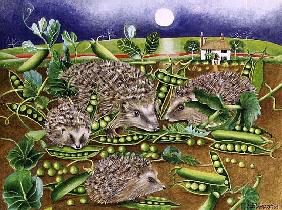 Hedgehogs with Peas beside a Poppy field at night, 1994 (acrylic) 