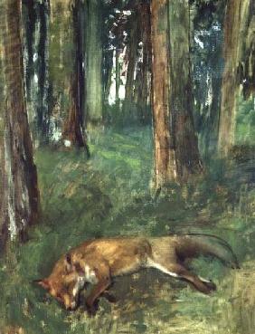 Dead fox lying in the Undergrowth 1865