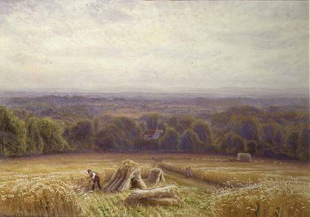 Harvesting von Edmund George Warren