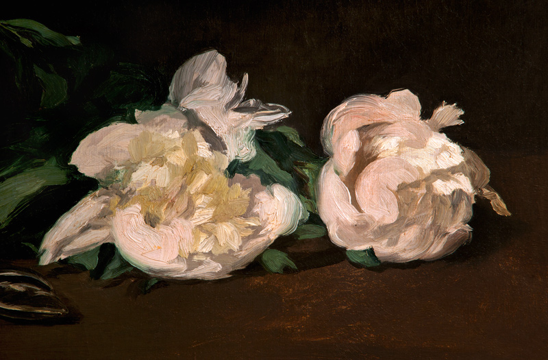 Branch of White Peonies and Secateurs von Edouard Manet