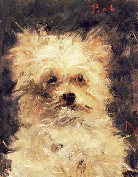 Head of a Dog - "Bob" von Edouard Manet