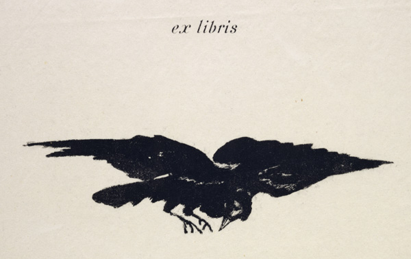 Le Corbeau (The Raven) von Edouard Manet