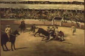 Bull Fight 1865
