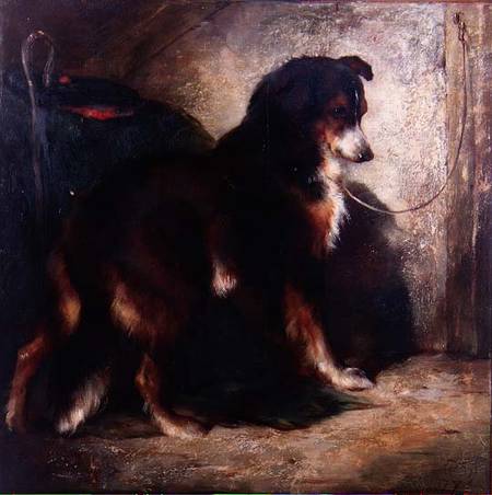 The Shepherd's Collie von Edwin Douglas