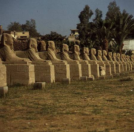 Avenue of Sphinxes, added by Nectanebo I (380-362 BC) Late Period von Egyptian