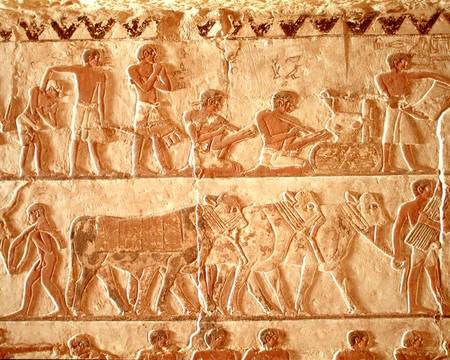Painted relief depicting the posting of taxes and a group of cattle, Old Kingdom von Egyptian