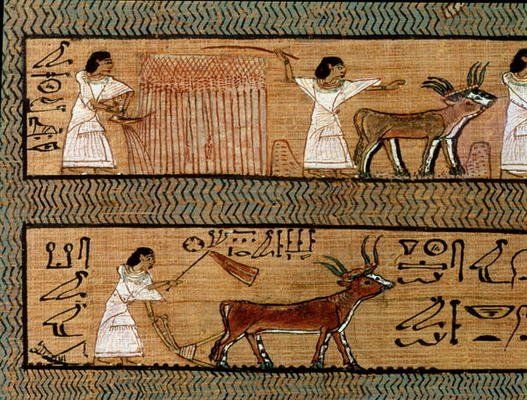 Reaping and ploughing, detail from a depiction of farming activities in the afterlife, from the Book von Egyptian 19th Dynasty